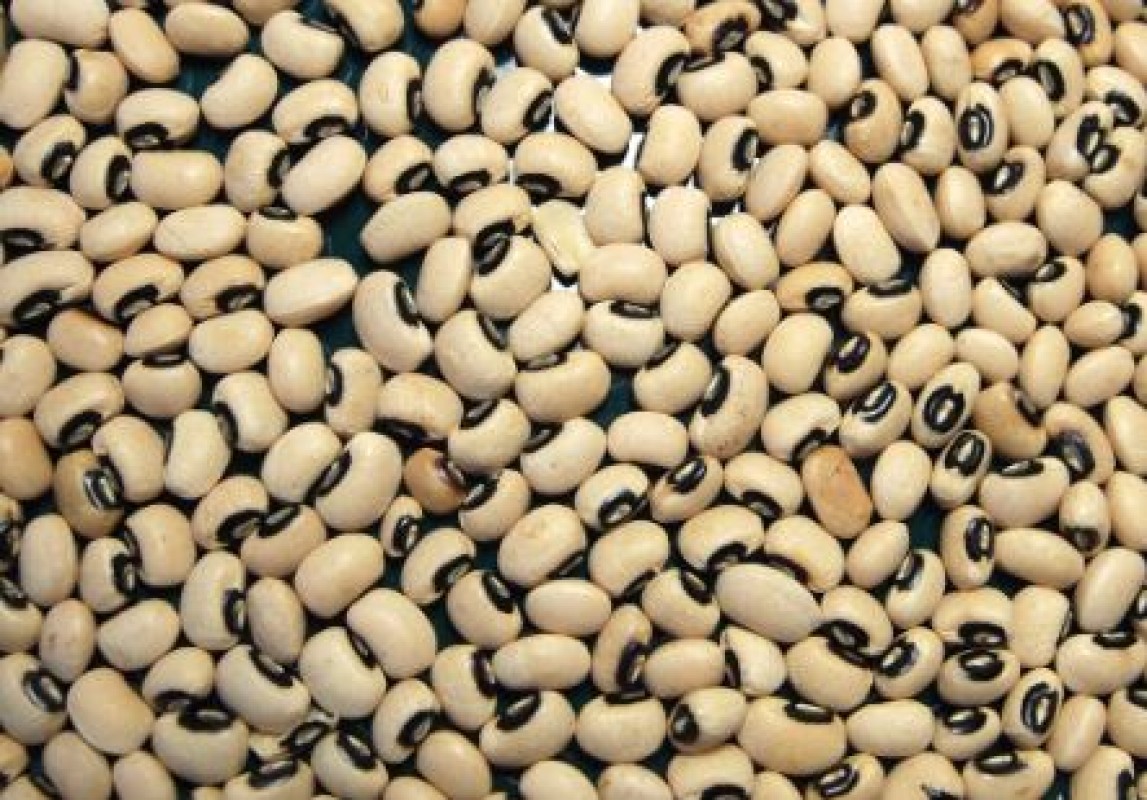 Black eyed peas/cow peas from Uganda